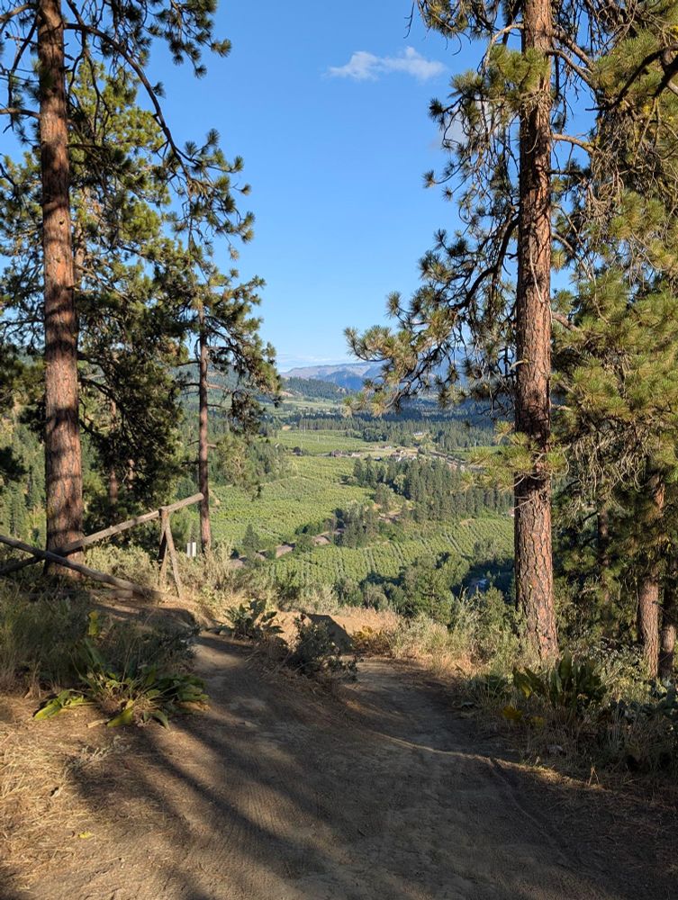 A mountain bike trail above Leavenworth, WA shows a view of the valley below between two pine trees.