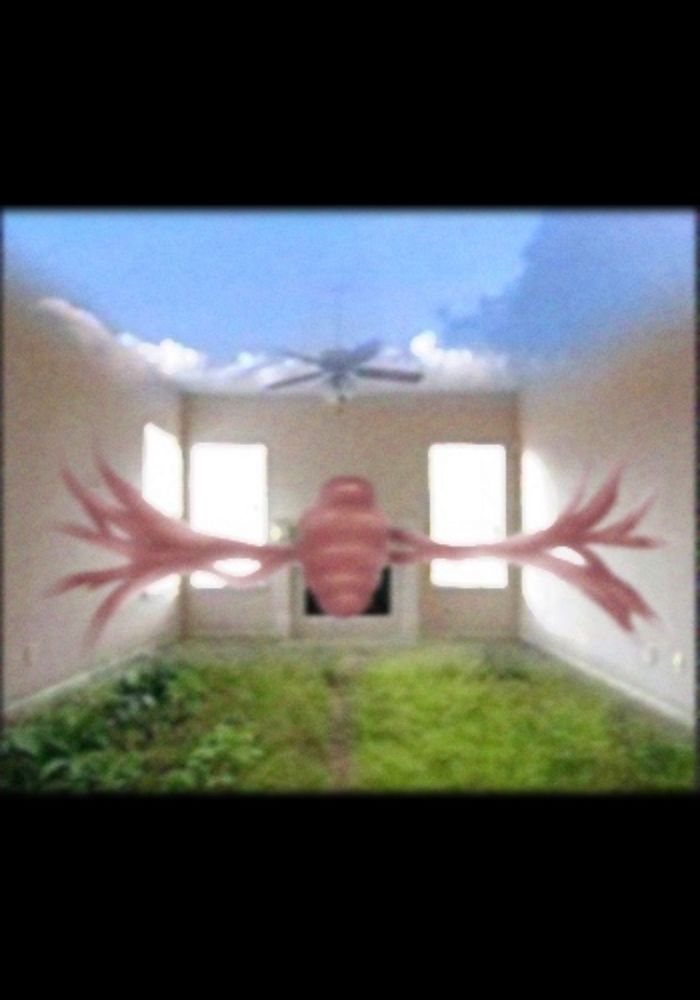 An ashy red pupa, with a lot of bumps, is in the middle of the picture with two fleshy ends, that resemble arms, extend from the pupa and stick to the walls like tree roots, they keep the pupa elevated from the ground.
The left and right walls are plain gray, while the front wall has two windows, so much light is coming in that the only thing that can be seen behind the window is white, the light comes in and lights up the room and the behind of the pupa.
The floor is covered by grass and dirt and the ceiling is replaced by a blue cloudy sky.

This is an edited photo, the pupa is hand drawn but made to blend with the photo.