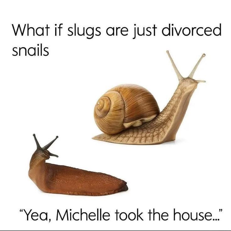 What if slugs are just divorced snails

"Yea, Michelle took the house..."