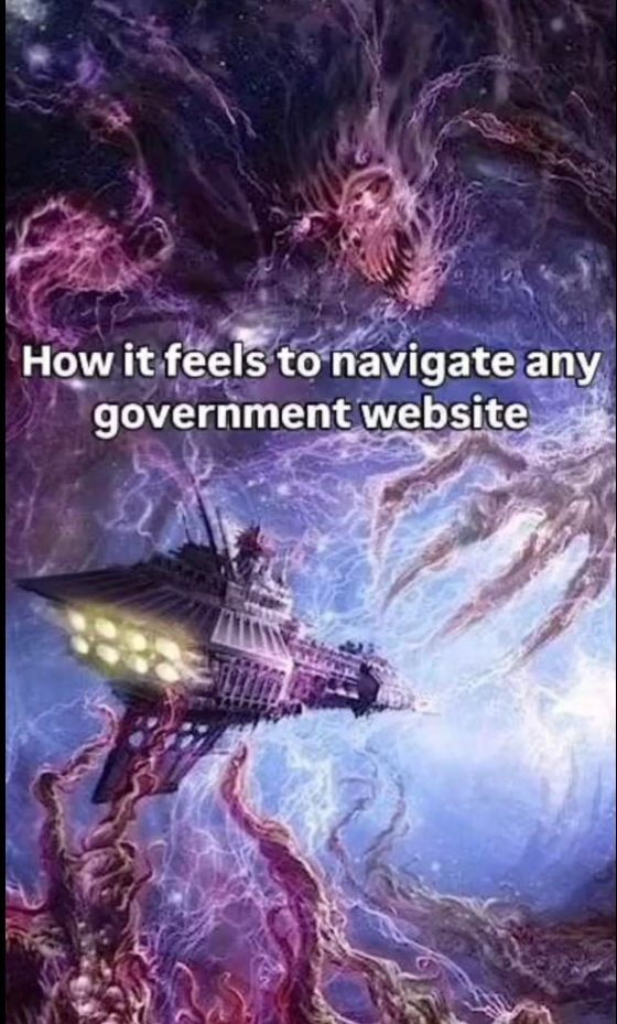 How it feels to navigate any government website
