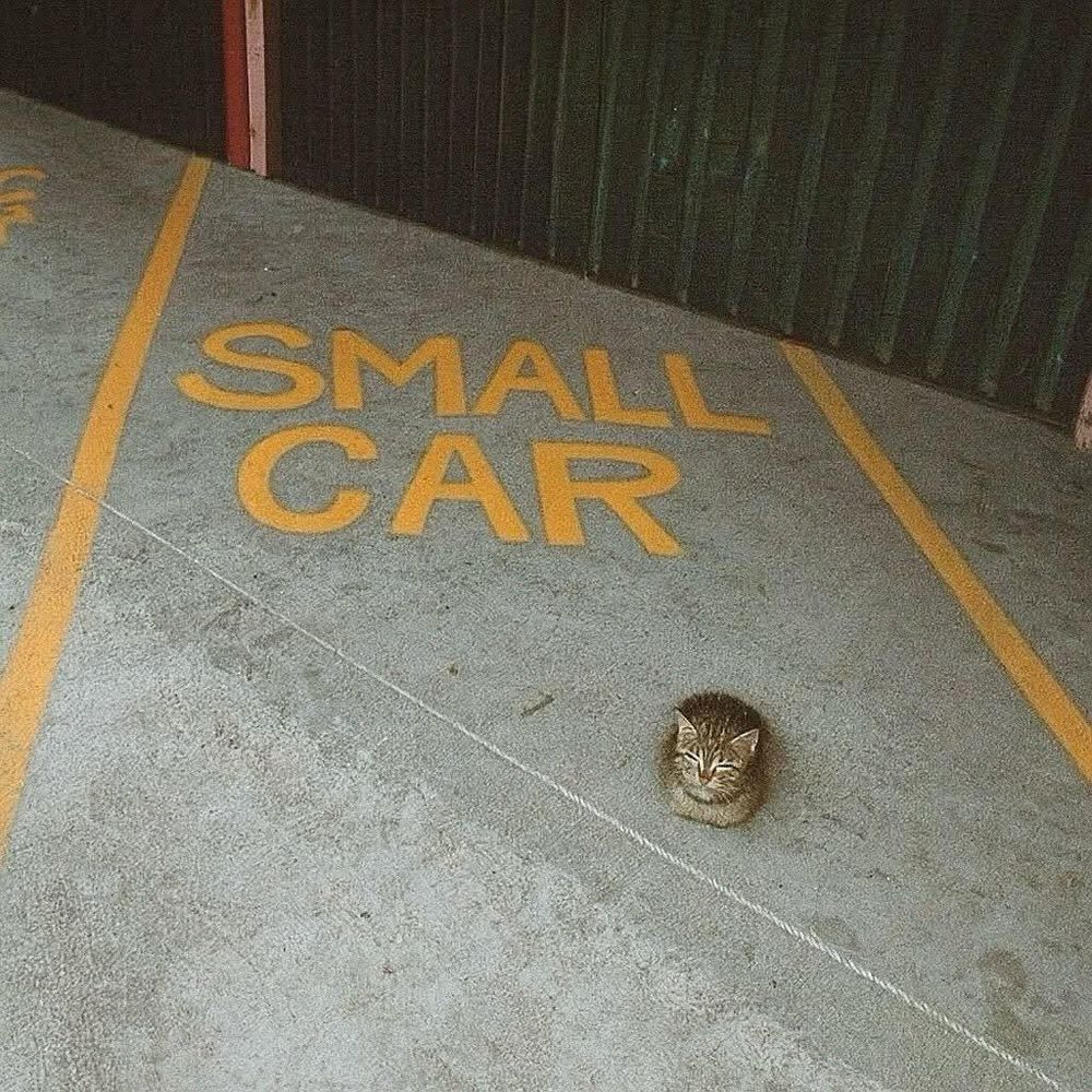 small car