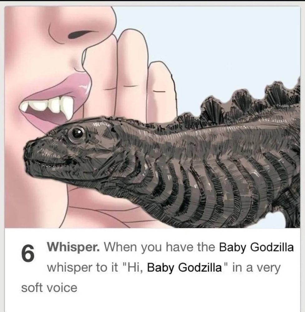 Whisper. When you have the Baby Godzilla whisper to it "Hi, Baby Godzilla" in a very soft voice