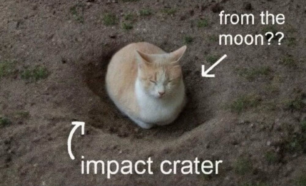 from the moon??

impact crater

*orange cat*