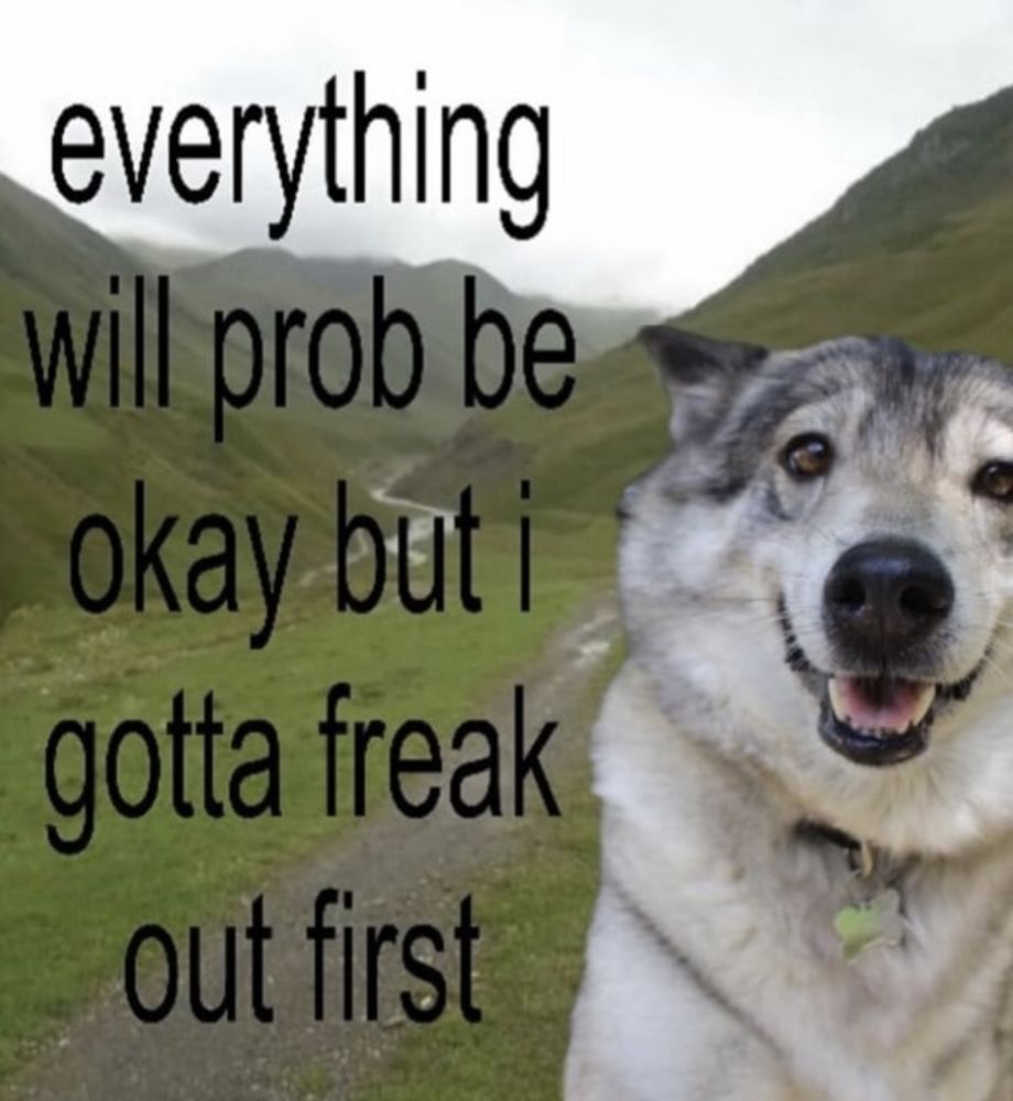 everything will prob be okay but i gotta freak out first