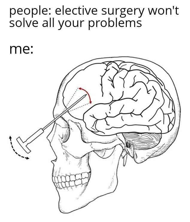 people: elective surgery won't solve all your problems
me:
*lobotomy*