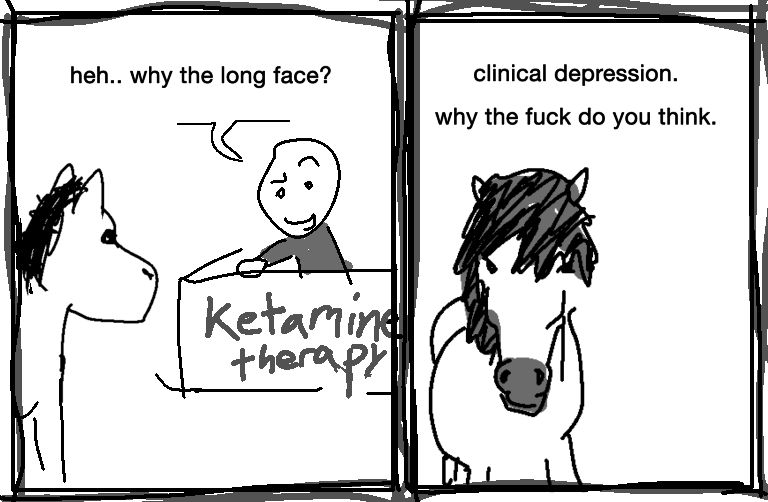 guy at a desk that says “ketamine therapy” says to a horse: heh.. why the long face?

the horse replies: clinical depression.
why the fuck do you think.