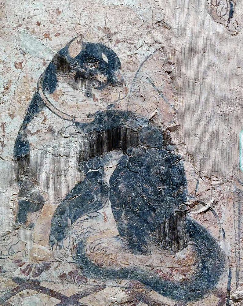 The image is a fragment of a burial tomb mural depicting a cat. The artwork shows a black and white cat sitting upright. The cat is facing to the right and its tail is curled around its body. The mural has a weathered appearance, with visible cracks and a rough texture.