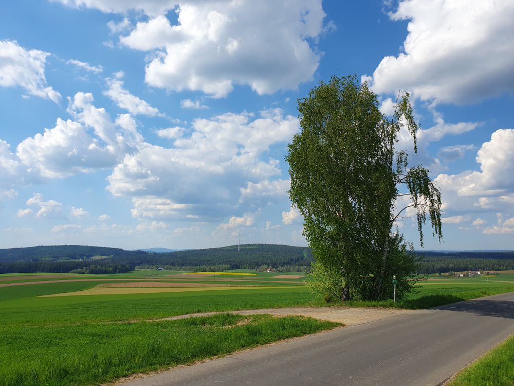 a wide view over green and yellow fields that nicely contrast to a light-blue sky and white clouds on a nice spring day