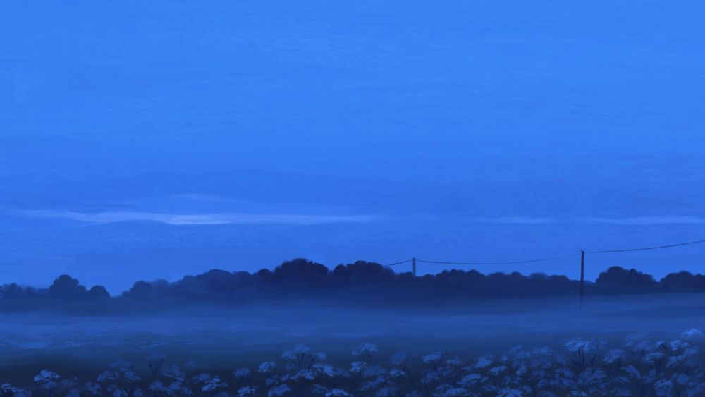 Digital painting of a countryside landscape before dawn, in morning mist. There are many white flowers in the foreground, trees and electric poles in the distance. The sky is a foggy blue, with a thin gap of light coming through.