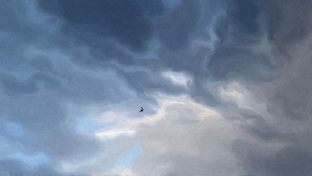 Digital painting of an overcast sky, with small gaps between some of the clouds letting a pale blue show through. The clouds are all shades from white to a dark blue-grey. There is a swift flying in the middle of the frame.