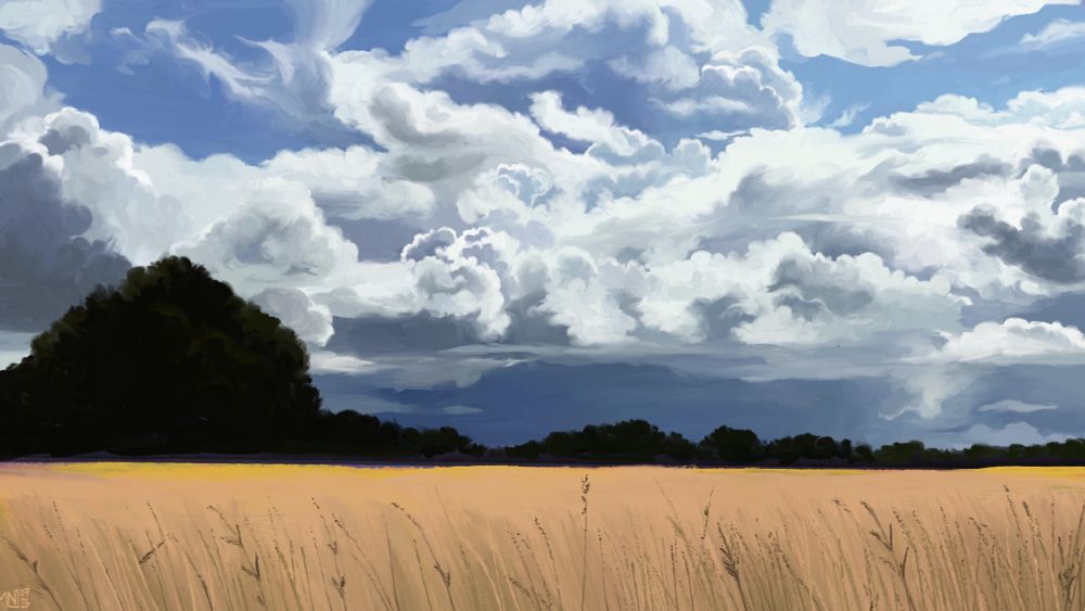 Digital painting of a field of tall yellow grass, with tall, voluminous clouds casting blue shadows underneath. There are tall, dark green trees in the distance.