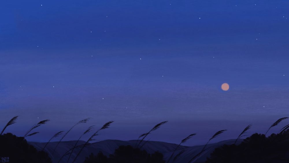 Digital painting of a blue night sky over the mountains, full of pin pricks of stars, and a round, orange moon. In the foreground, there are bushes and tall blades of grass.