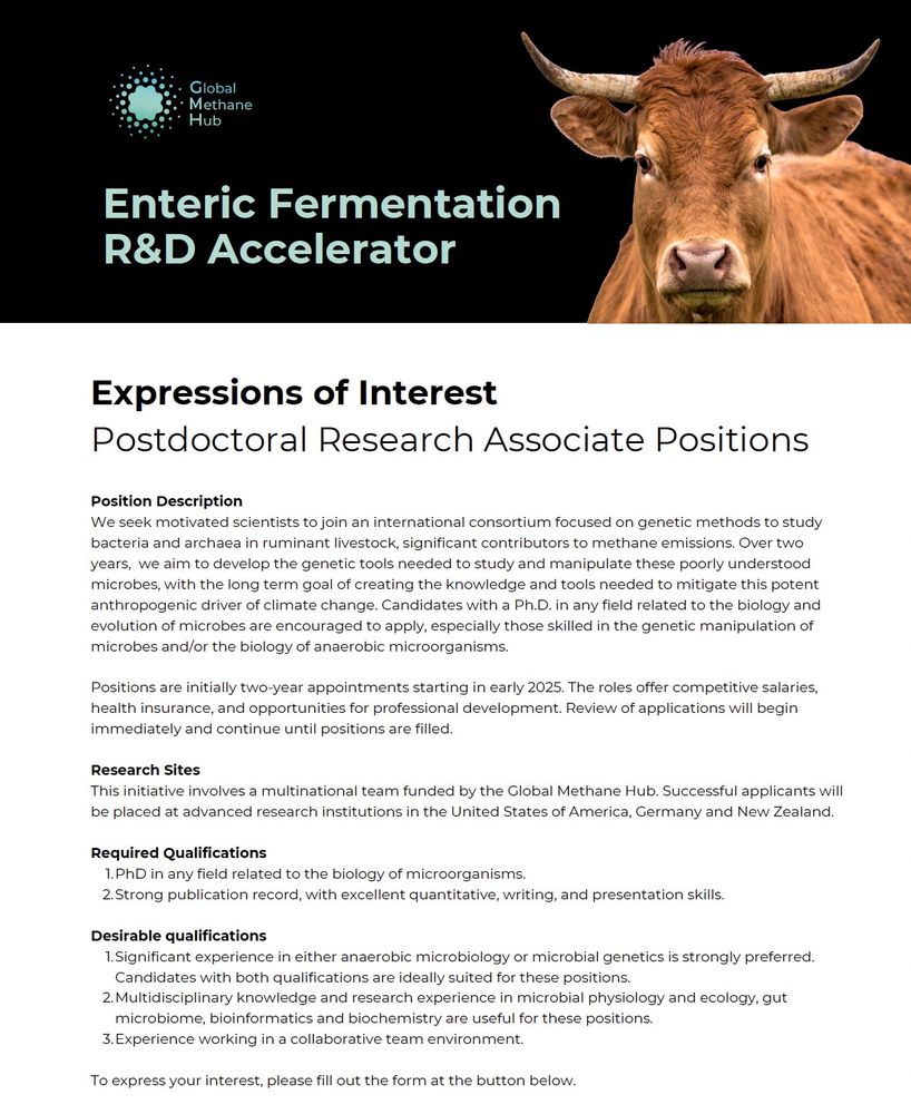 Call for expressions of interest for post doc positions in various locations worldwide to genetically engineer methanogens. The letterhead includes a large brown cow.