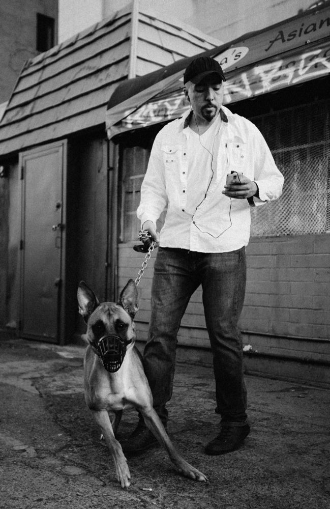Black & white photo of a man on the street looking at his cell phone while holding onto a leashed dog with a muzzle, as dog lurches forward