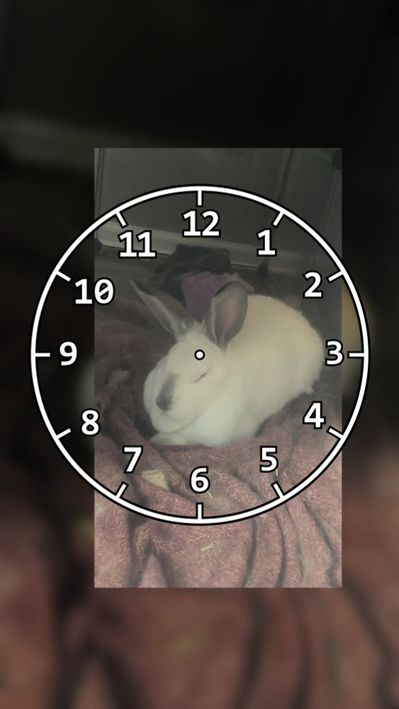 A white bunny with gray ears and nose sleeping on a dark red or burgundy blanket indoors. A clock face is overlayed on top with their ears pointing towards 12 hours and 53 minutes.