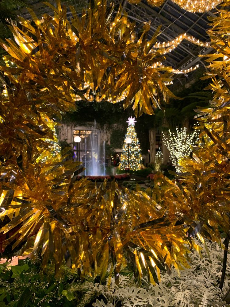 Yellow garland  with Christmas tree in it in the background