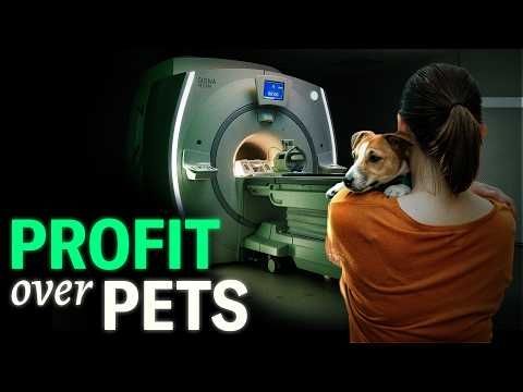 Private Equity's Ruthless Pet Care Scheme