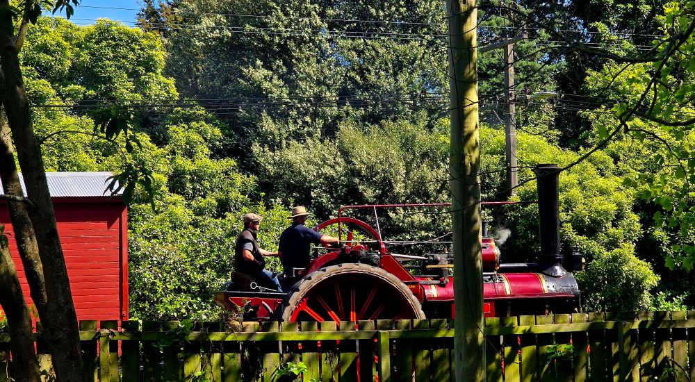 A cherry red traction engine passing behind a wood paling fence