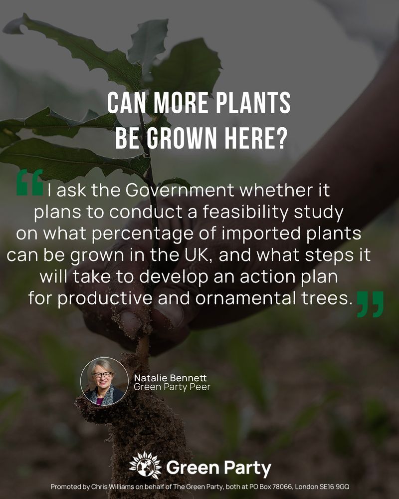 A photograph of hands holding a young plant with soil around its roots. Over the image is the headline “Can more plants be grown here?” Below is a quote from Natalie Bennett asking the Government whether it plans to conduct a feasibility study on what percentage of imported plants can be grown in the UK, and what steps it will take to develop an action plan for productive and ornamental trees. A small circular photo of Natalie Bennett appears near the bottom alongside her name and title, Green Party Peer, with the Green Party logo at the bottom of the graphic.