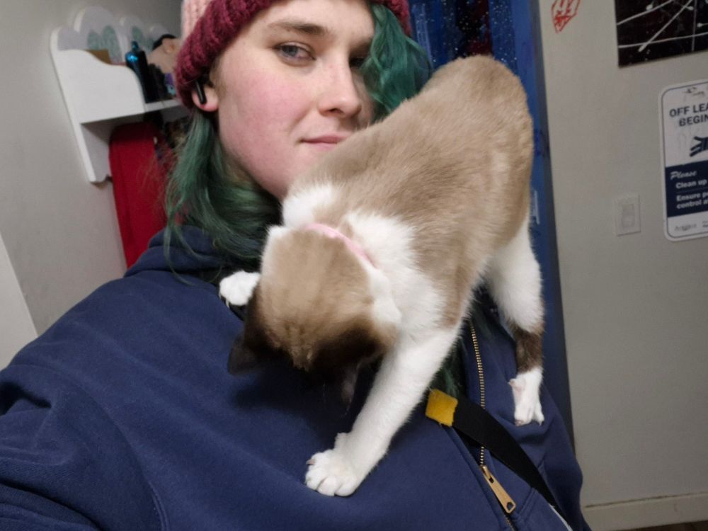 Gabi posing in a selfie while her kitty climbs on her chest. Gabi is wearing a blue hoodie and a lesbian toque, Peaches the cat is wearing nothing :o