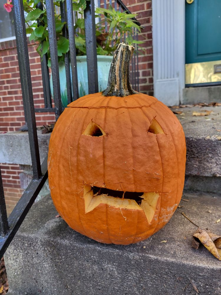 Pumpkin carved  with triangle eyes and a rectangle mouth with a fang at each end.