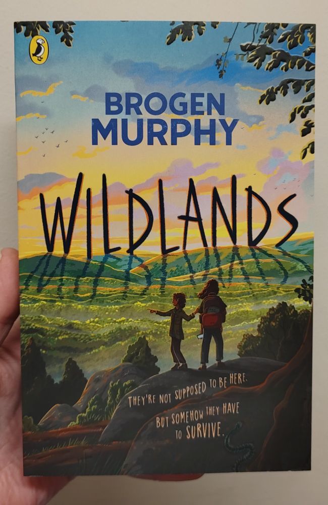 The book 'Wildlands' by Brogen Murphy. The cover (by Tom Clohosy Cole) has an illustration of two children looking across a natural landscape. The title casts shadows on the hills.