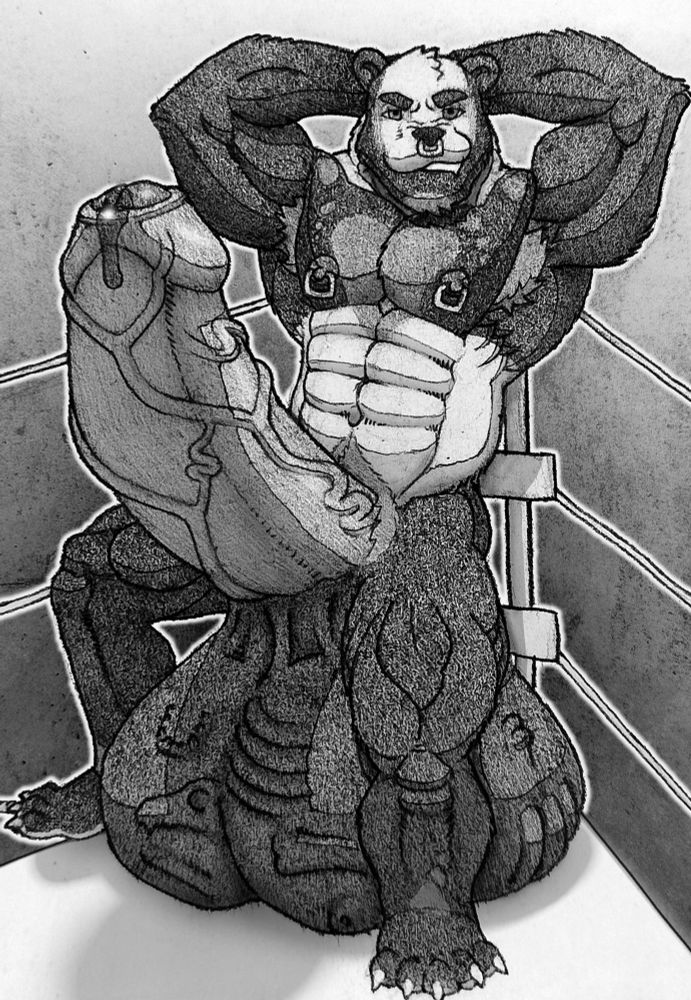 Muscular, male anthro panda, fully nude, posing in the corner of a wrestling ring, his veiny hyper cock leaking and pointing upwards while his equally huge balls display some... rather curiously-shaped bulges (it is bones). 