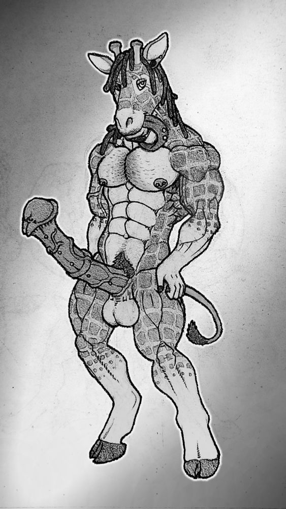 Muscular, male, anthro giraffe posing nude, with his tongue out and arm-length cock hard, multiple piercings can be seen on his hairy manly body