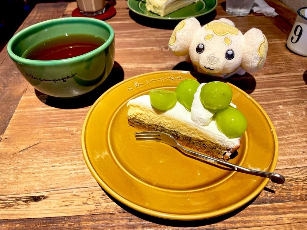 タルトを美味しそうにﾓﾁﾓﾁ眺めるモッチ