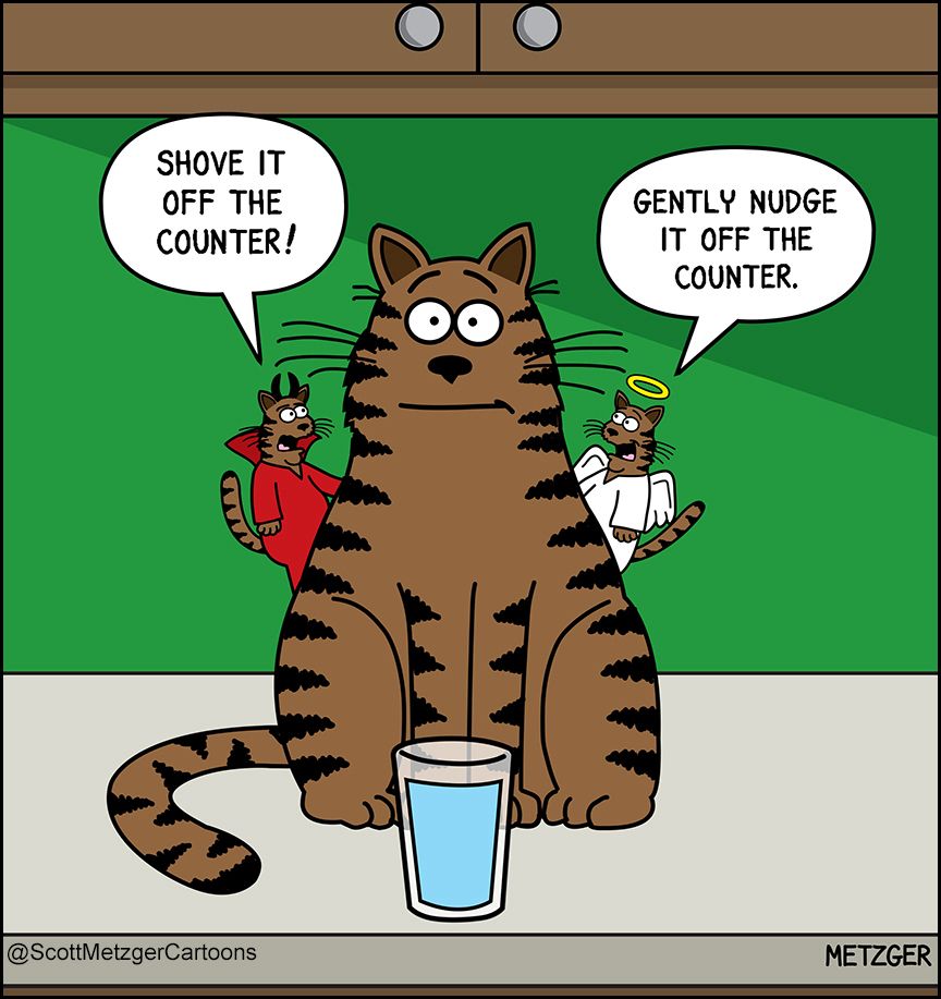 A cat is sitting on a counter and there's a glass of water in front of him. There's mini devil cat on one side of the cat and a mini angel cat on his other side. The devil cat is saying to him, "Shove it off the counter!" The angel cat is smiling and saying "Gently nudge it off the counter."