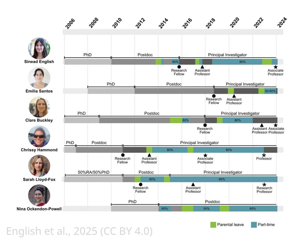 Timelines showing the career paths of the authors from PhD student onwards, including major landmarks such as appointment as a research fellow, assistant professor, associate professor, and professor/research professor.
