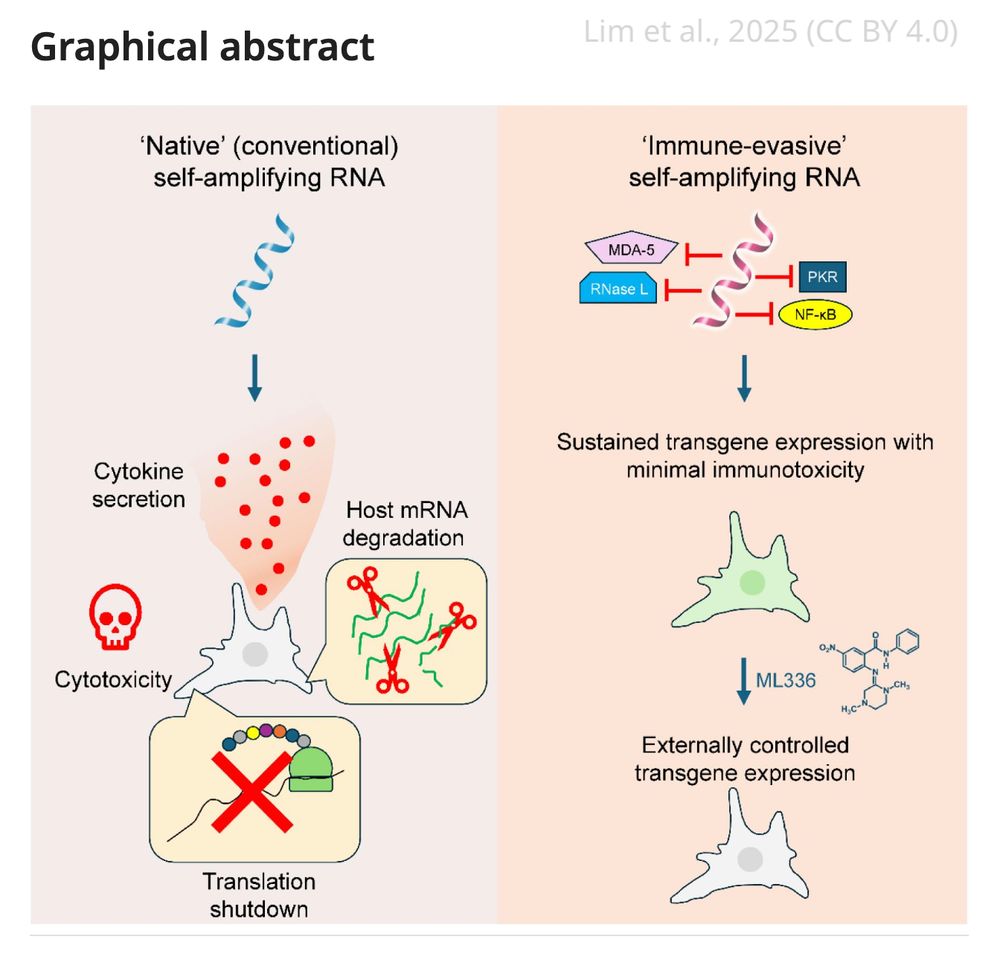 graphical abstract 