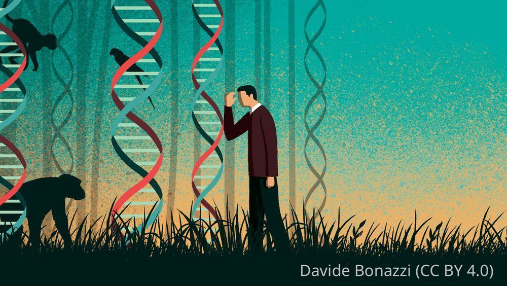 illustration of a person peering through DNA helices at animal silhouettes