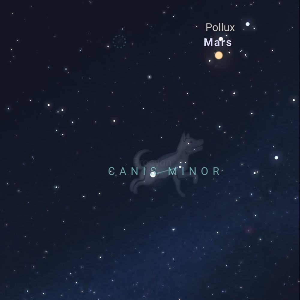 A screenshot in the Stellarium App of the constellation, Canis Minor, with a faint outline of a dog in the night sky. 