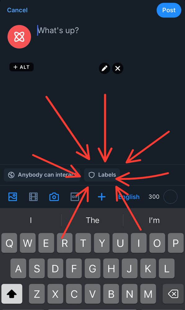 A screenshot from Bluesky showing the labels button that appears when you add media to a post. 