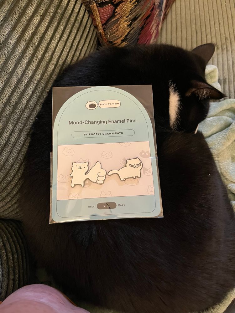 A packet of two cute pins in the shape of cartoon cats, one with a very big paw doing a thumbs-up gesture, the other in an angry stance glaring fiercely. The packet is lying on top of my snoozing black and white tuxedo cat, Tux.