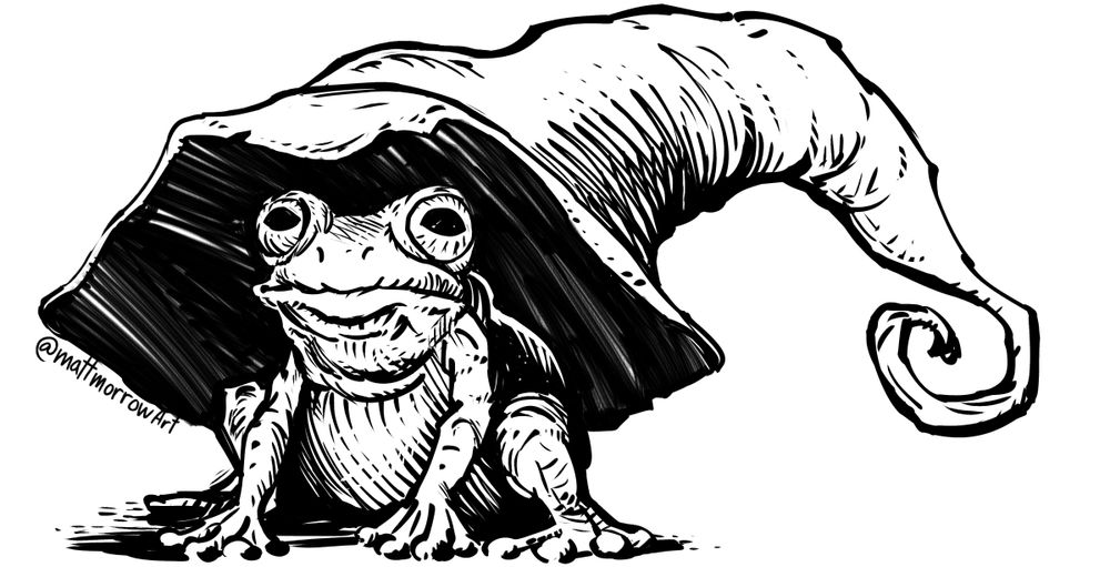 frog with a wizard hat illustration