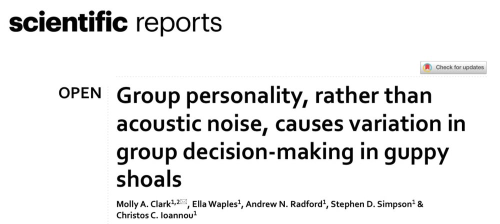 Screenshot of the title and author list of a scientific paper published in Scientific Reports. The title reads: “Group personality, rather than acoustic noise, causes variation in group decision-making in guppy shoals.” Authors listed are Molly A. Clark, Ella Waples, Andrew N. Radford, Stephen D. Simpson, and Christos C. Ioannou.