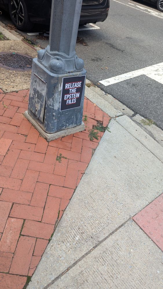 A sign that says "release the Epstein files" in capital letters is pasted to the bottom of a streetlight. 