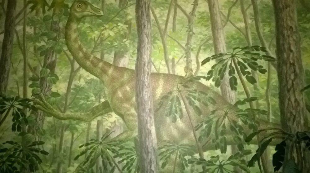 Ornithomimus in one of the dinosaur exhibit murals.