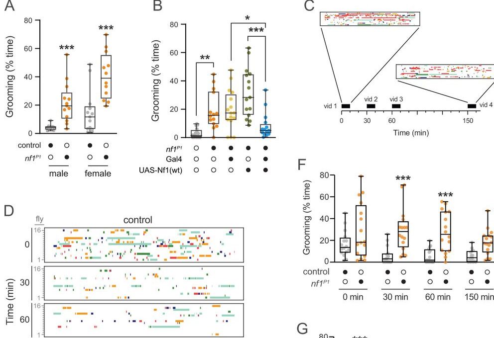 Screen shot showing multiple box plots and graphs from manuscript