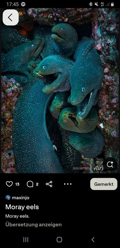 The reference photo for the sketch from pinterest.