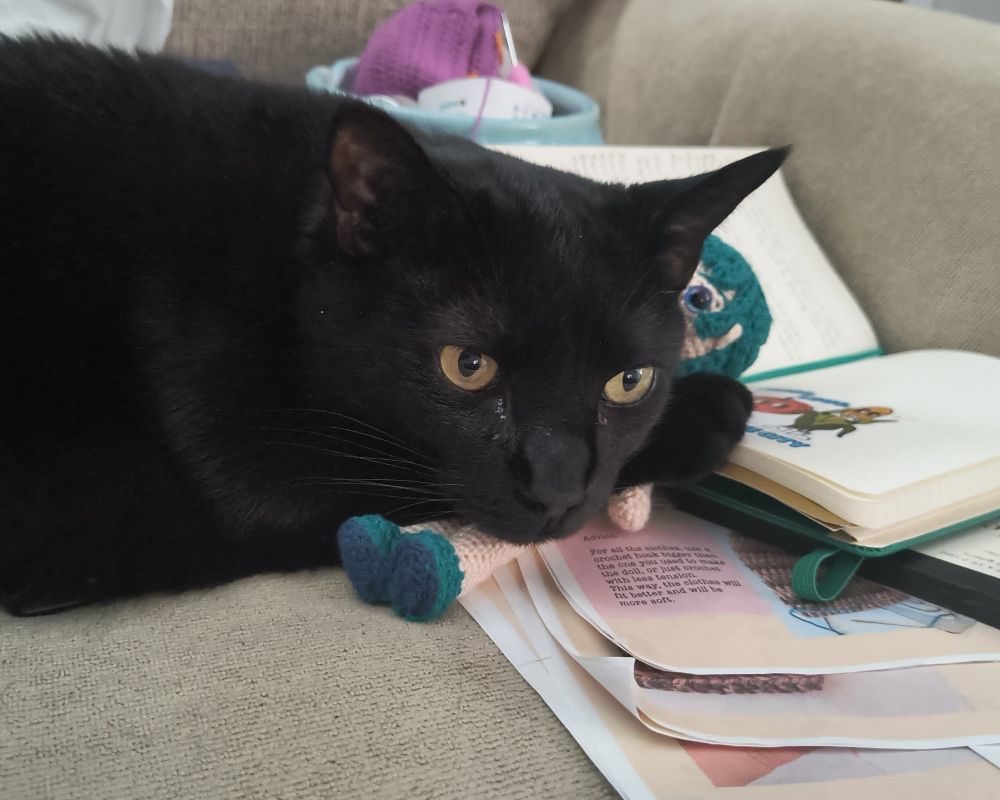 A black cat sleeping on top of a crocheted doll.