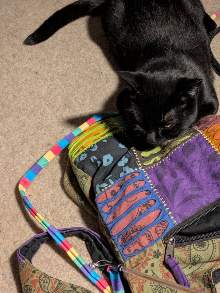Black cat called Charlie resting her head on my  purse of many colours. She is creeping closer daily. 