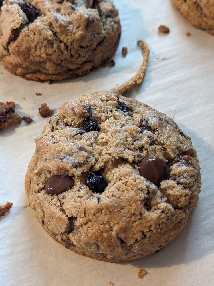A photo of a very cartoonishly round looking cookie. It has chocolate chips and dried cherries throughout. 
