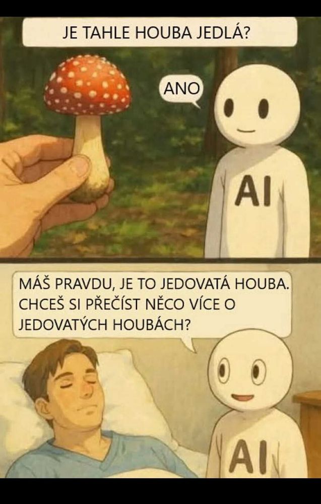 Rozhovor s AI chatbotem:

JE TAHLE HOUBA JEDLÁ?
ANO
AI
MÁS PRAVDU, JE TO JEDOVATÁ HOUBA.
CHCES SI PRECÍST NÉCO VÍCE O JEDOVATÝCH HOUBÁCH?
Al