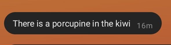 A screenshot of a text message that reads: 