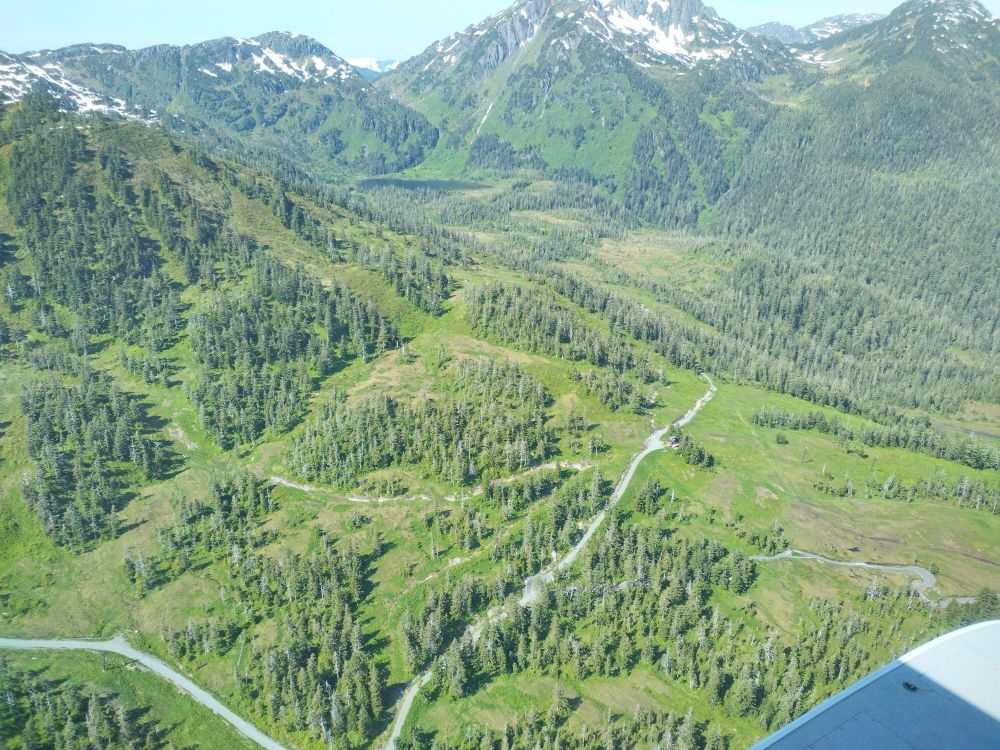 A summertime Arial view of the middle of the Eaglecrest Ski Area.
"Mother Load" comes in from the left. The gravel road from Black Bear (lower left) to the top of Hooter (center) wraps around to the lower west side in the distance.
