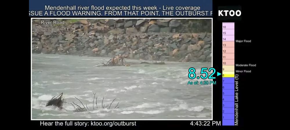 A screenshot of a tree floating down the Mendenhall River during high water as seen on a KTOO live webstream.