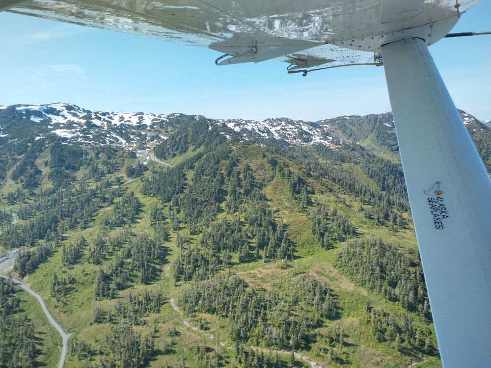 A summertime Arial view of the east side & mid-mountain of the Eaglecrest Ski Area under the wing of a floatplane.
East Bowl Chutes are in the upper left. The east side gravel road is in the lower left. "Mother Load" is left of center, and "The Face" is visible right of center, with "Hillary's" to the right.